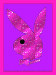 pic for playboy highlight